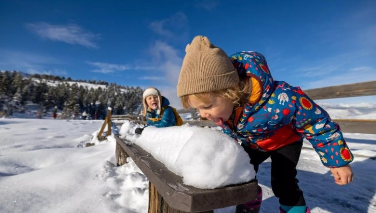 Eating Snow: Is it Safe or Not?
