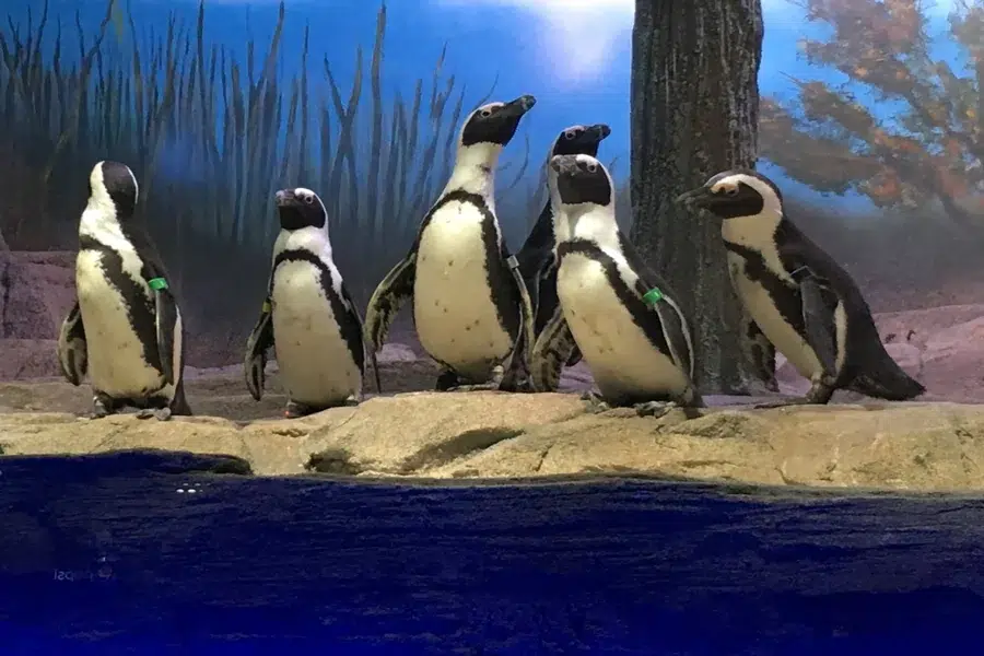 Miami Seaquarium Exhibits