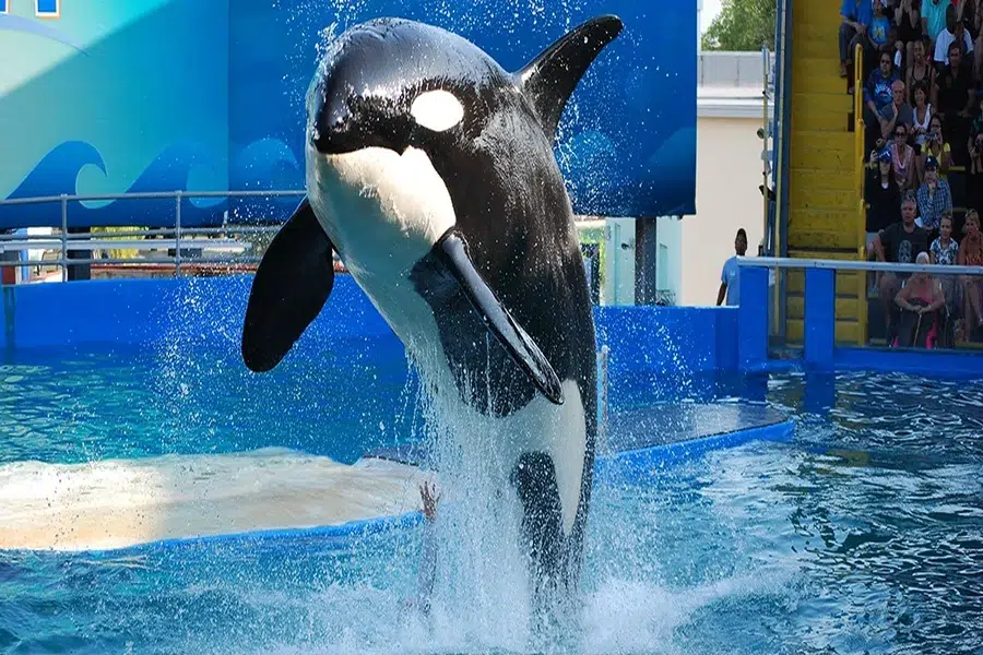Miami Seaquarium Exhibits