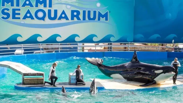 Miami Seaquarium Exhibits