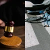 Legal Advice for Cyclists After an Accident
