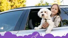 Pet Owners
