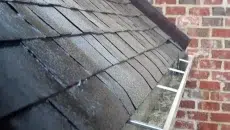 Your Roof