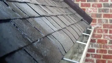 Your Roof