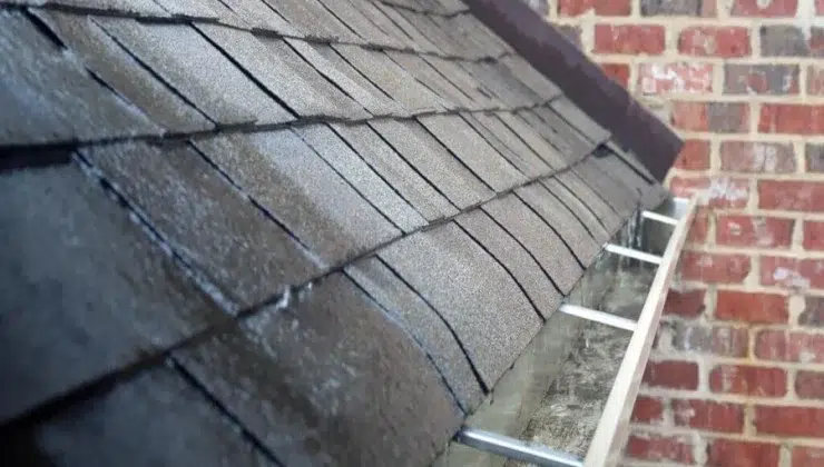 Your Roof