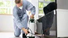 Pest Control