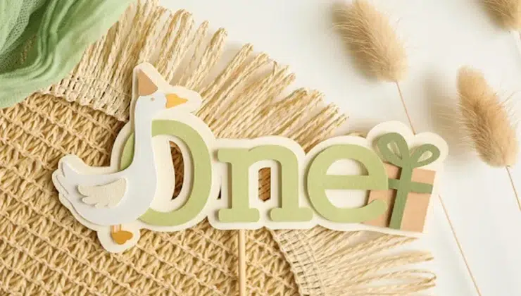 Celebrate with Whimsy The Ultimate One Silly Goose Birthday Theme Guide