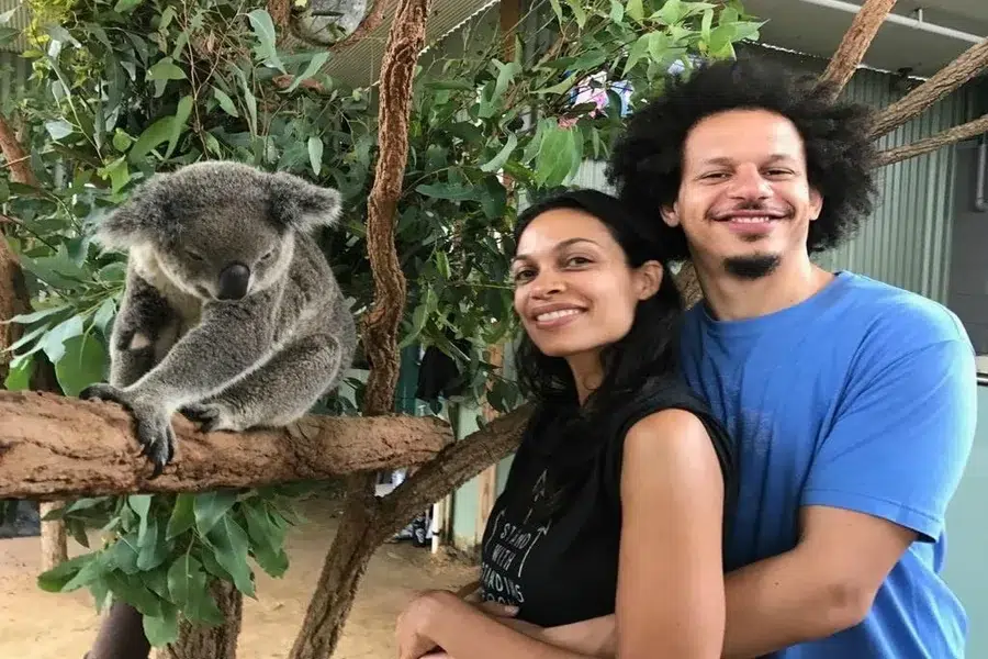 Eric Andre Wife