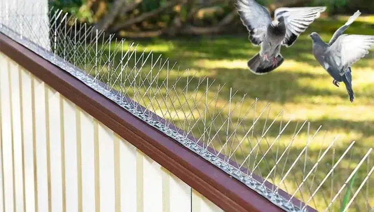 Protect Your Investment Durable Bird Spikes In Dubai