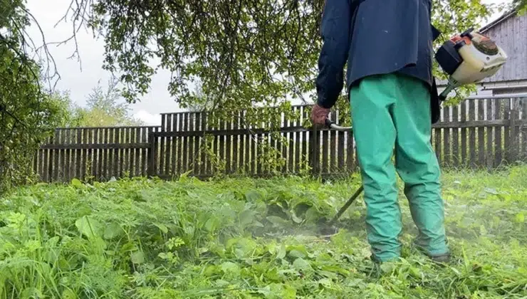 Truth About Weeds: