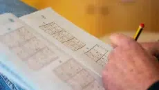Brain