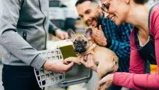 A happy couple buying a dog from a puppy store after learning where to buy puppies.