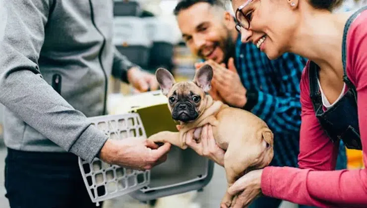 A happy couple buying a dog from a puppy store after learning where to buy puppies.