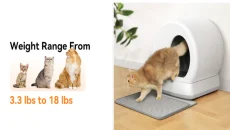 Cat Owners