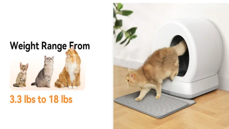 Cat Owners