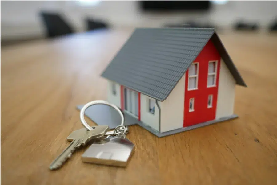 Legal Safeguards