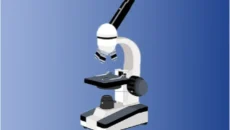 stereo microscope