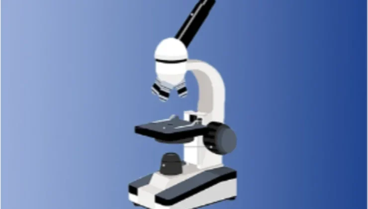 stereo microscope