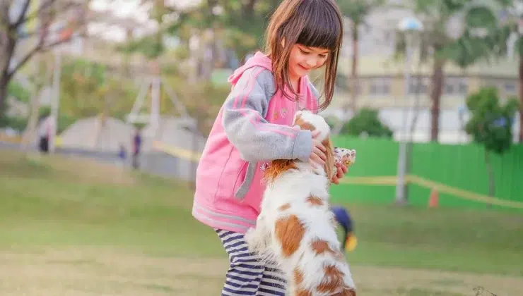 Dog