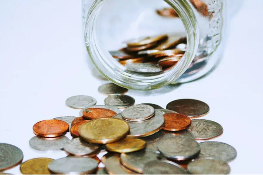 Veterinary Business Growth