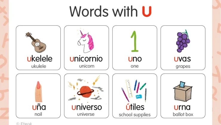 Words in Spanish That Start With U