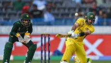 Cricket