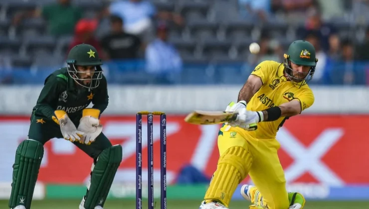 Cricket