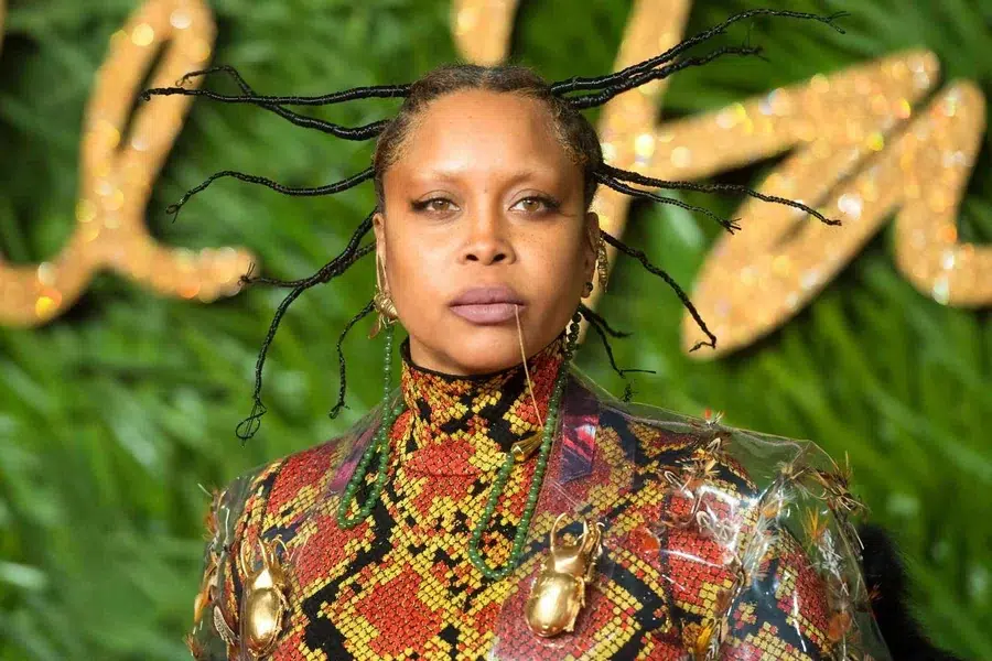 Erykah Badu Net Worth