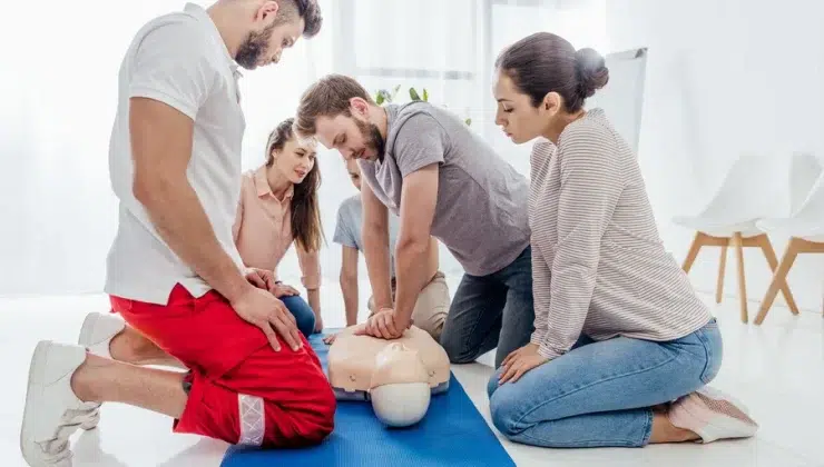 Clinical Rotations