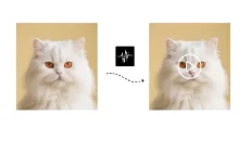 AI Pet Lip Sync Generators