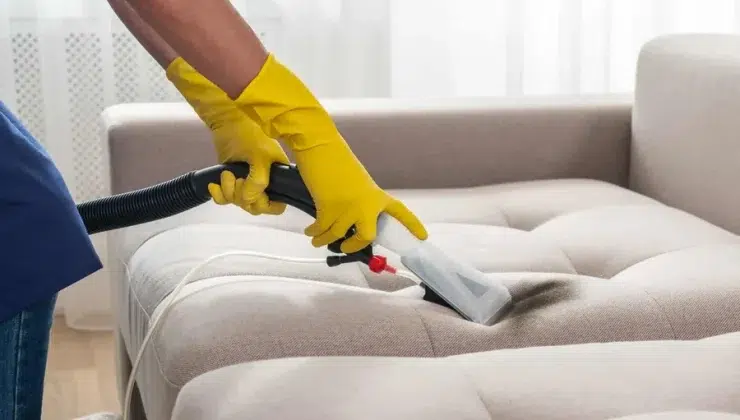 Pest Control Services