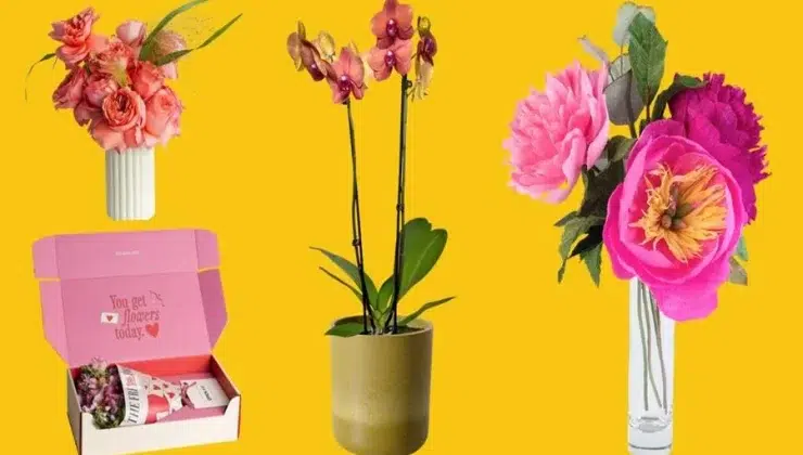 Floral Surprises