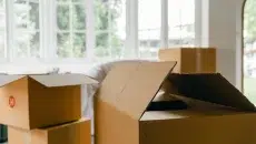 Organization Matters