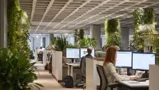 Modern Offices