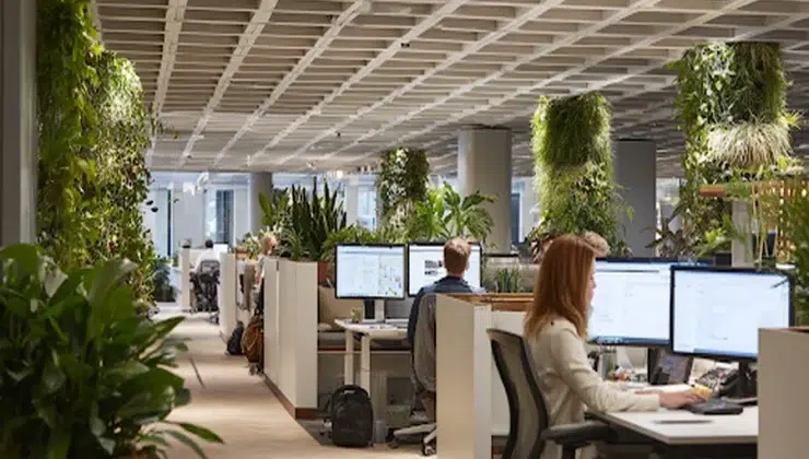 Modern Offices