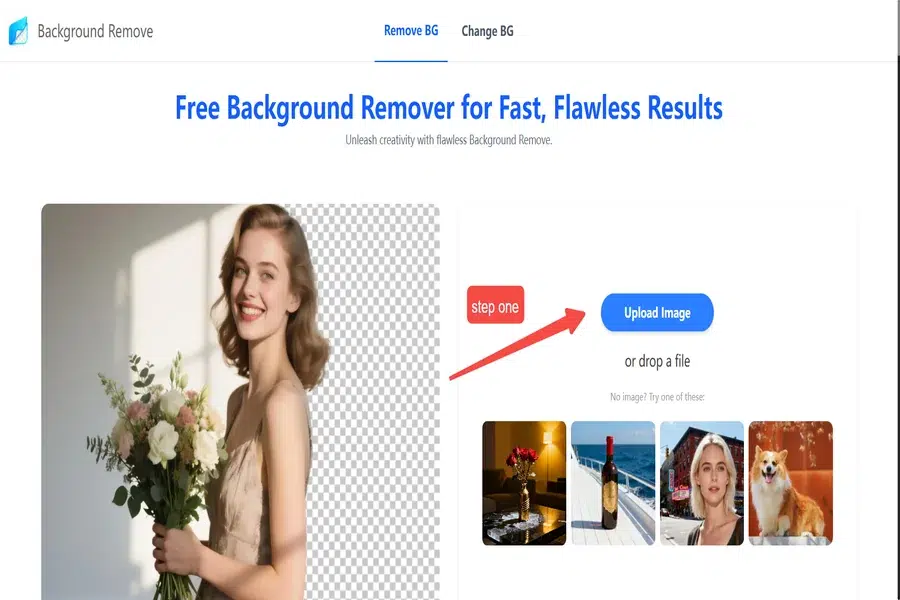 Background Remover Free