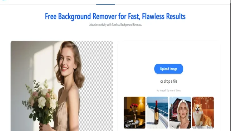 Background Remover Free