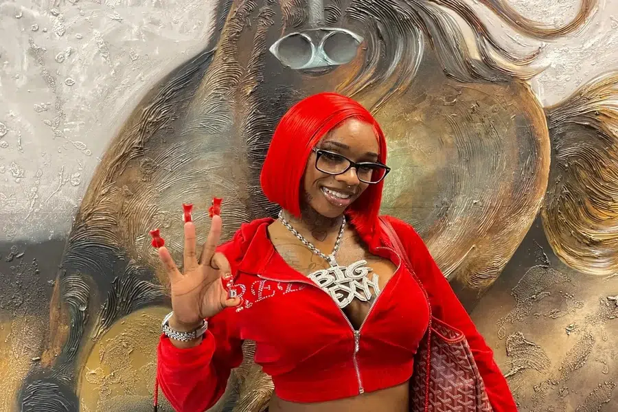 Sexy Red Net Worth