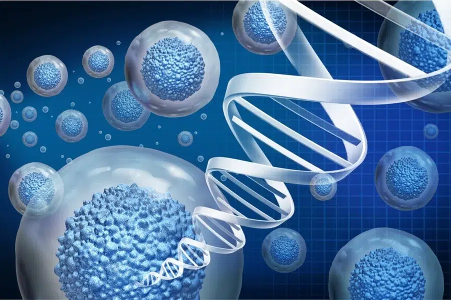 Stem Cell Innovation for Erectile Dysfunction Therapy in 2025