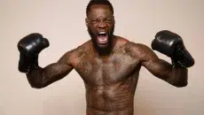 deontay wilder net worth