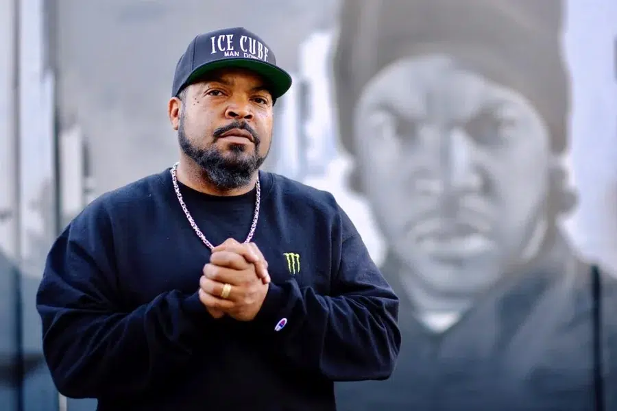 ice cube net worth