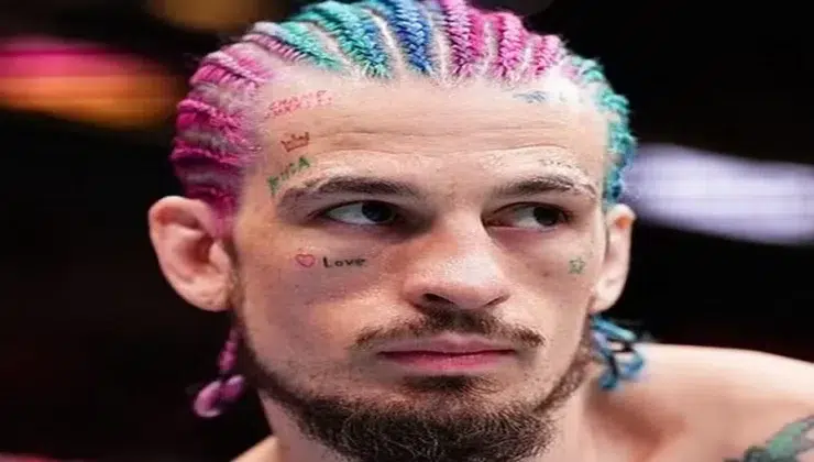 sean o'malley net worth