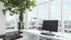 Amphasis Design Innovative Creative Solutions for Modern Brands