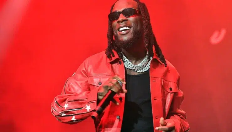 Burna Boy Net Worth