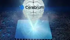 CerebrumIQ