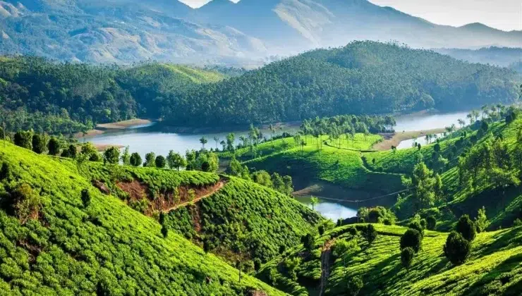 Munnar Alleppey