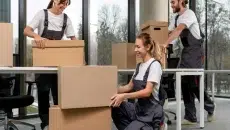 Professional Movers