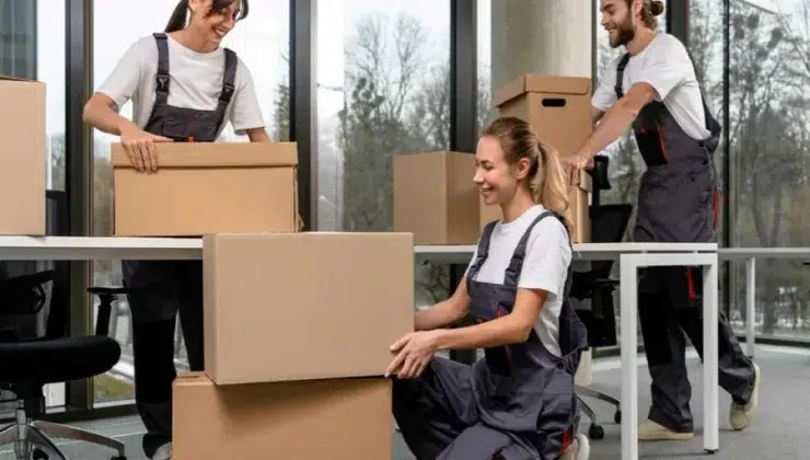 Professional Movers