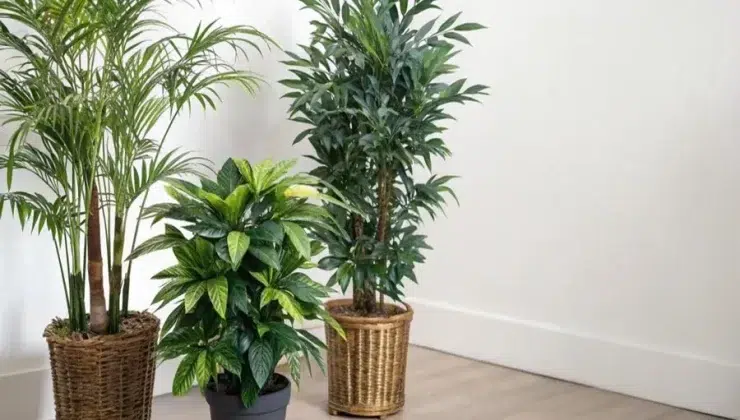 Artificial Plants