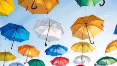 Umbrella Insurance